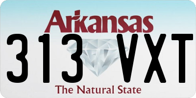 AR license plate 313VXT