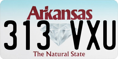 AR license plate 313VXU
