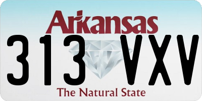 AR license plate 313VXV