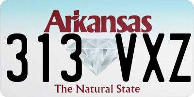 AR license plate 313VXZ