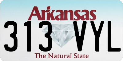 AR license plate 313VYL