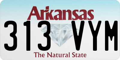 AR license plate 313VYM
