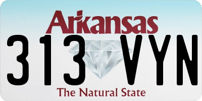 AR license plate 313VYN