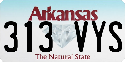 AR license plate 313VYS