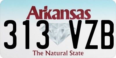 AR license plate 313VZB