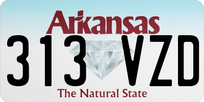 AR license plate 313VZD