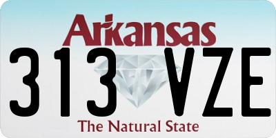 AR license plate 313VZE