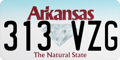 AR license plate 313VZG