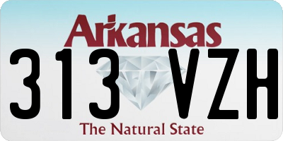 AR license plate 313VZH
