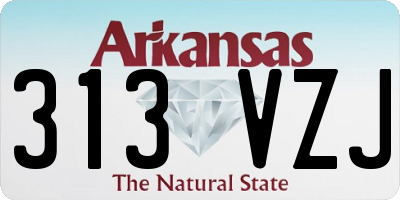 AR license plate 313VZJ