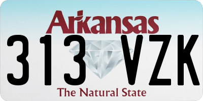 AR license plate 313VZK