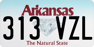 AR license plate 313VZL
