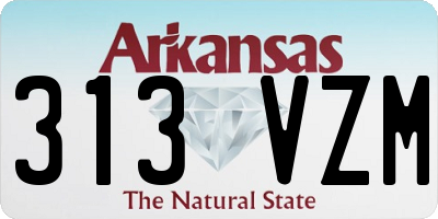 AR license plate 313VZM