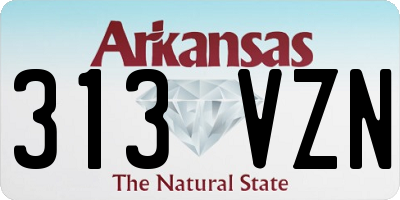 AR license plate 313VZN