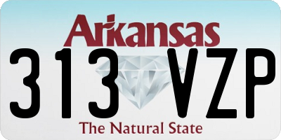 AR license plate 313VZP