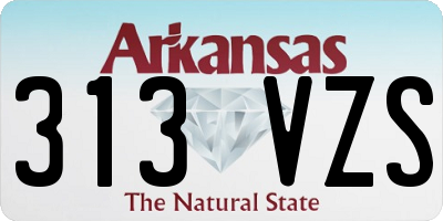 AR license plate 313VZS