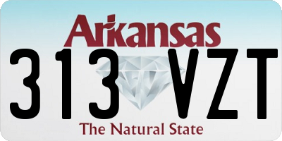 AR license plate 313VZT