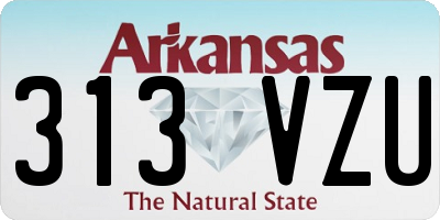 AR license plate 313VZU