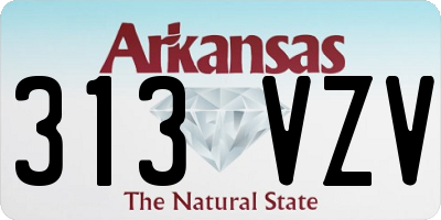 AR license plate 313VZV