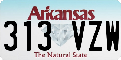 AR license plate 313VZW