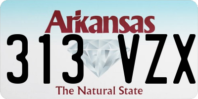 AR license plate 313VZX