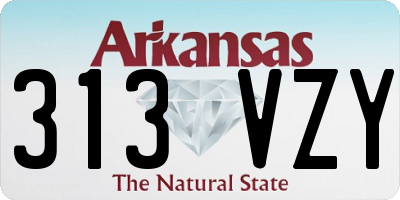 AR license plate 313VZY