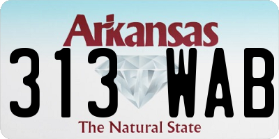 AR license plate 313WAB