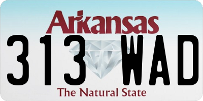 AR license plate 313WAD
