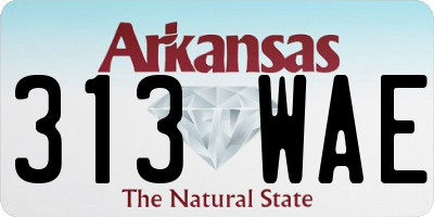 AR license plate 313WAE