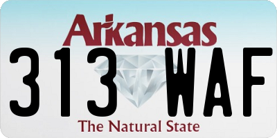 AR license plate 313WAF