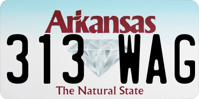 AR license plate 313WAG