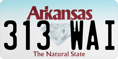 AR license plate 313WAI