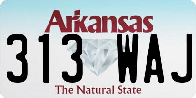 AR license plate 313WAJ