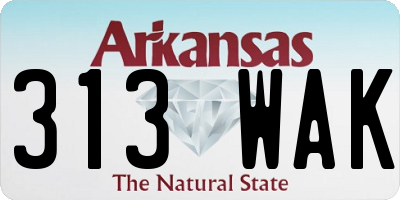 AR license plate 313WAK
