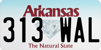 AR license plate 313WAL