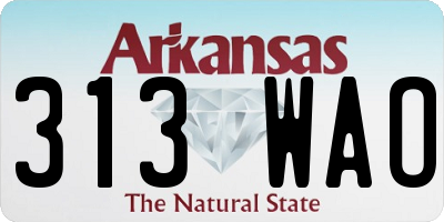 AR license plate 313WAO