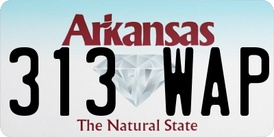 AR license plate 313WAP