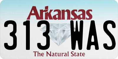 AR license plate 313WAS
