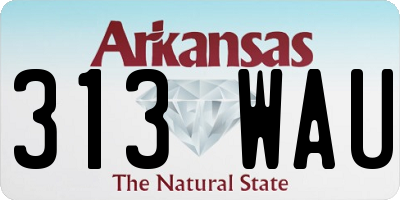 AR license plate 313WAU