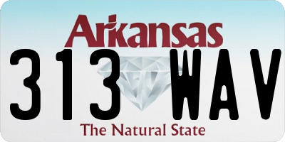 AR license plate 313WAV