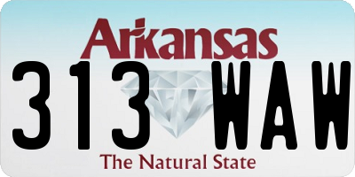 AR license plate 313WAW