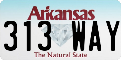 AR license plate 313WAY