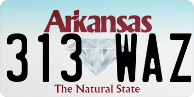 AR license plate 313WAZ