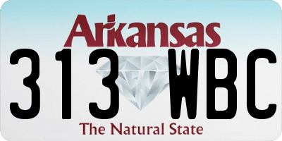 AR license plate 313WBC