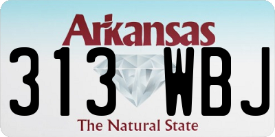 AR license plate 313WBJ