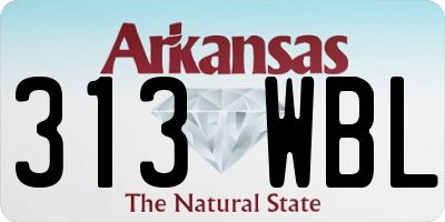 AR license plate 313WBL