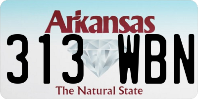AR license plate 313WBN