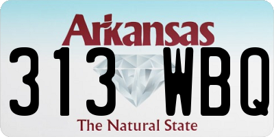 AR license plate 313WBQ