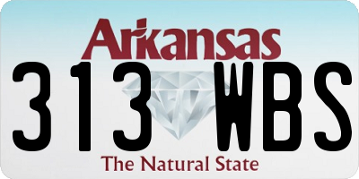 AR license plate 313WBS