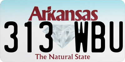 AR license plate 313WBU